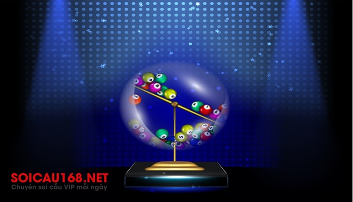 Mai đ&aacute;nh con g&igrave;?