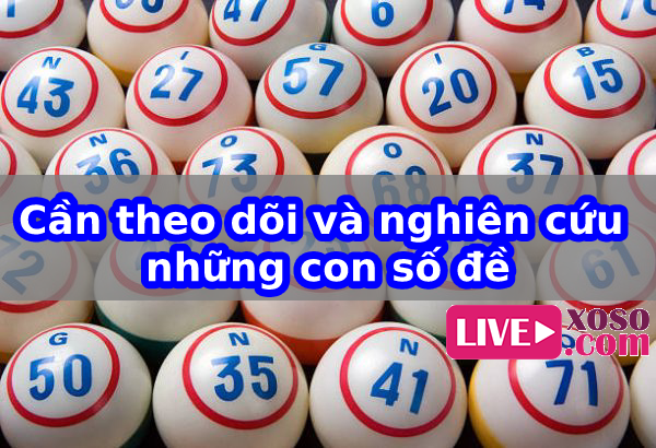 Tổng hợp những bí quyết giúp bạn chơi lô đề hiệu quả